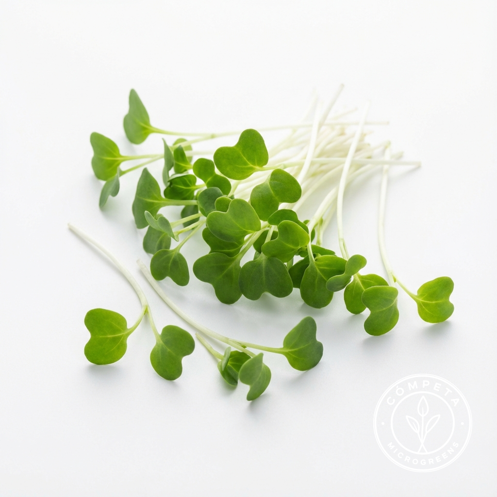 Microgreens Gallery: gen_white_broccoli_1765013893119.png