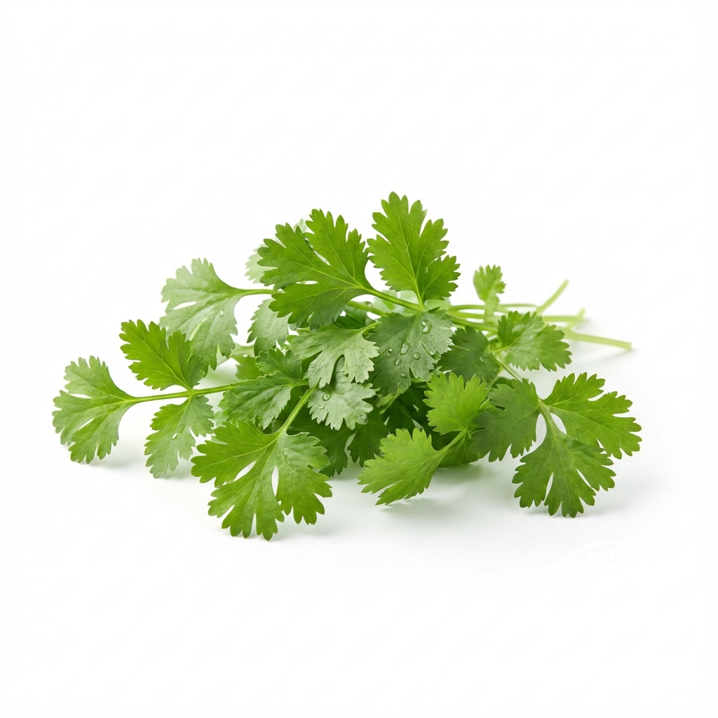 Microgreens Gallery: gen_white_coriander_1765013959578.png