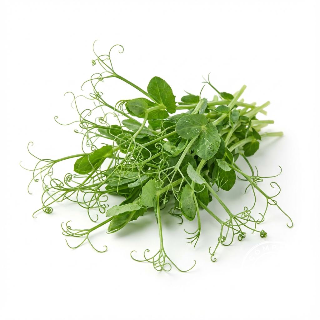 Microgreens Gallery: gen_white_tendrils_1765013860972.png